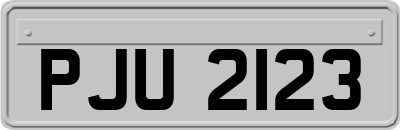 PJU2123