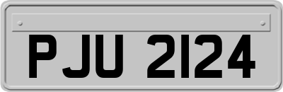 PJU2124