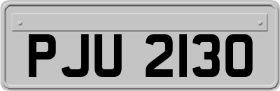 PJU2130