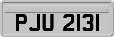 PJU2131
