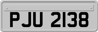 PJU2138