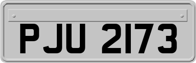 PJU2173