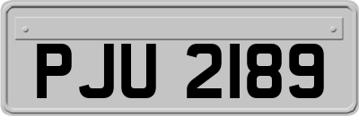 PJU2189