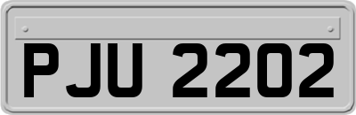 PJU2202
