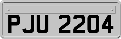 PJU2204