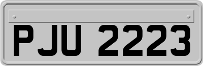 PJU2223