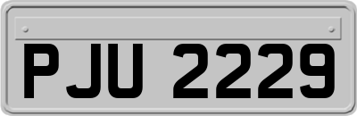 PJU2229