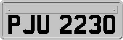PJU2230