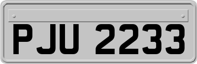 PJU2233