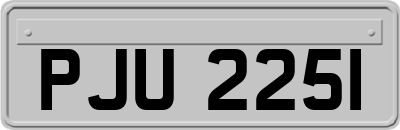 PJU2251