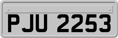 PJU2253