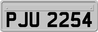 PJU2254