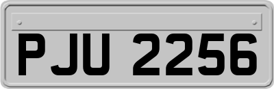 PJU2256