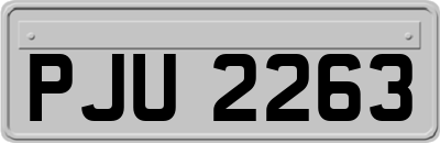 PJU2263