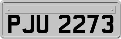 PJU2273