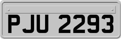 PJU2293