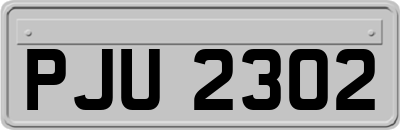 PJU2302