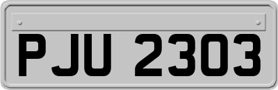 PJU2303