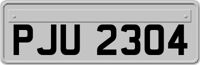 PJU2304