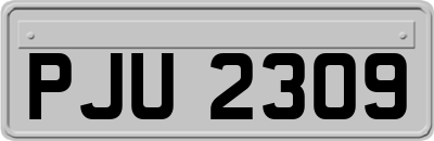 PJU2309