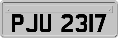 PJU2317