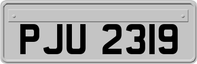 PJU2319