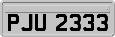 PJU2333