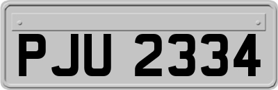 PJU2334