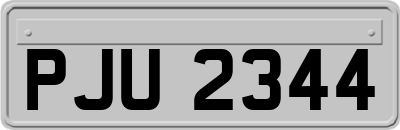 PJU2344