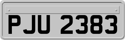 PJU2383