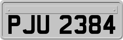 PJU2384