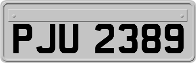 PJU2389