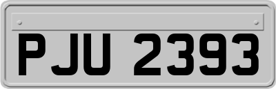 PJU2393