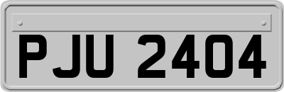PJU2404