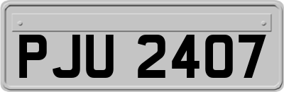 PJU2407