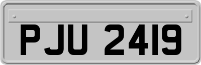 PJU2419
