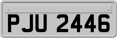 PJU2446