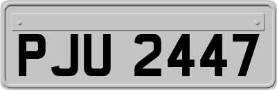 PJU2447