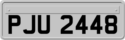PJU2448
