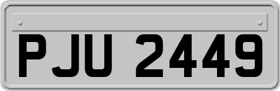 PJU2449