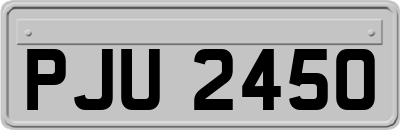 PJU2450