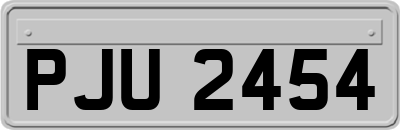 PJU2454