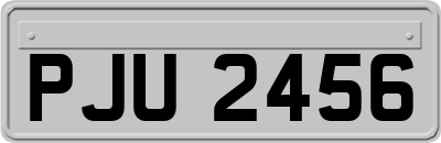 PJU2456