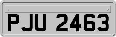 PJU2463