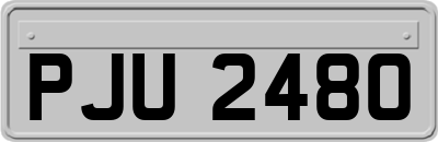 PJU2480