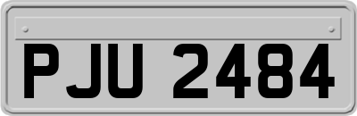 PJU2484