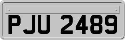 PJU2489