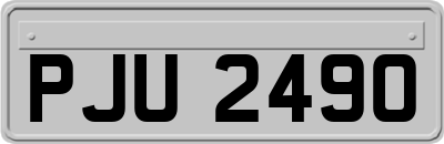 PJU2490