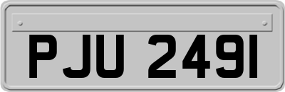 PJU2491