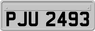 PJU2493